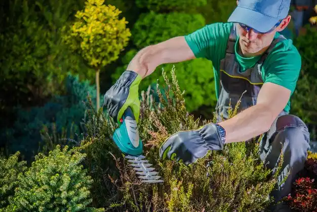 landscaping services Campbellsville